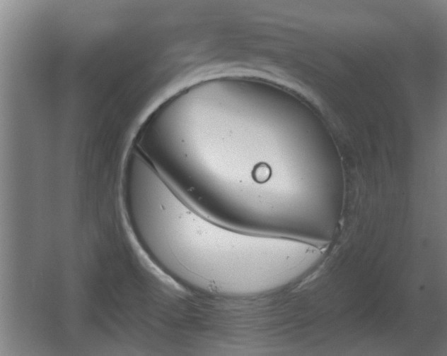 X0000068261518200604241218