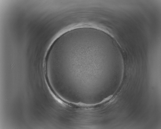 X0000068261519200604241218