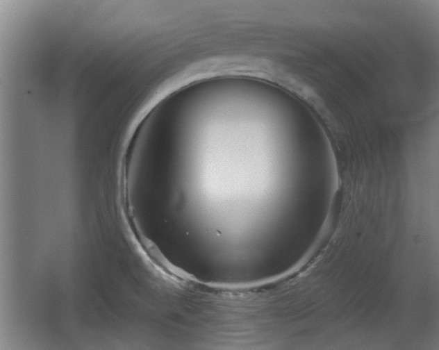 X0000068261520200604241218