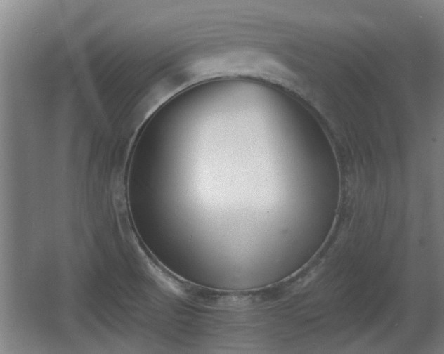 X0000068261521200604241218