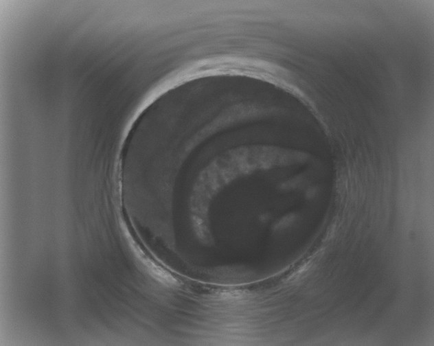 X0000068261522200604241218