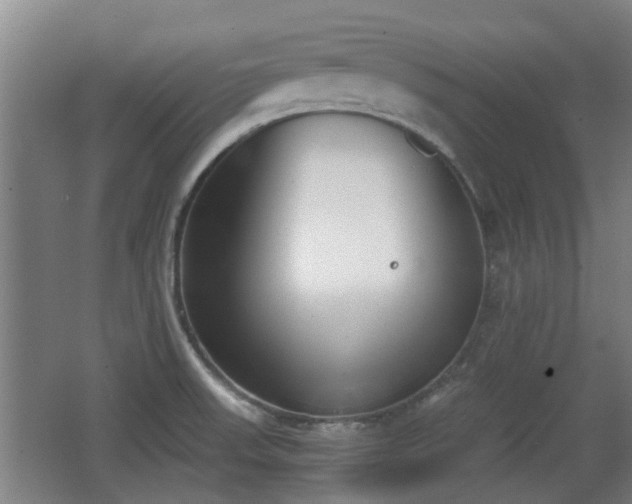 X0000068261523200604241218