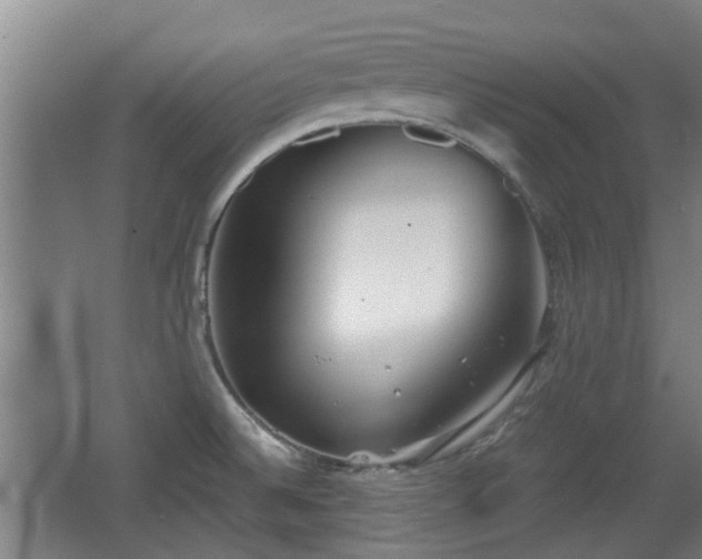 X0000068261524200604241218