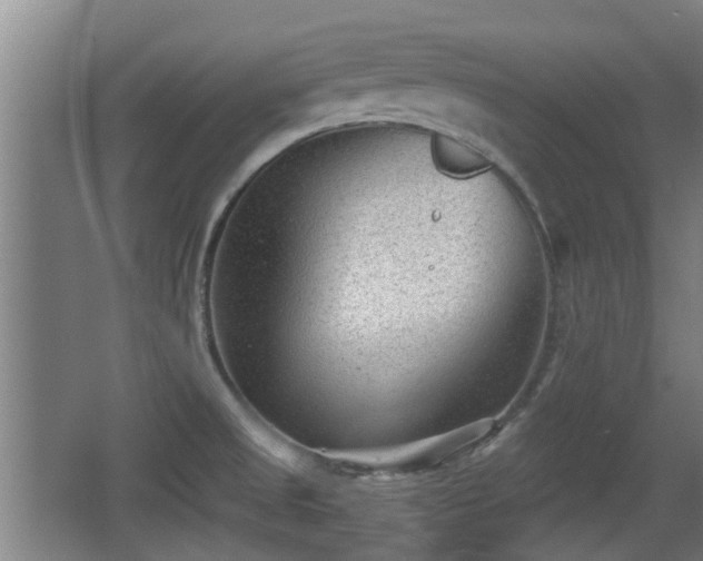 X0000068261525200604241218