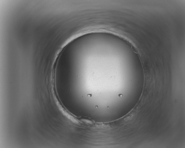 X0000068261526200604241218