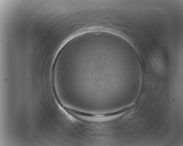 X0000068261527200604241218