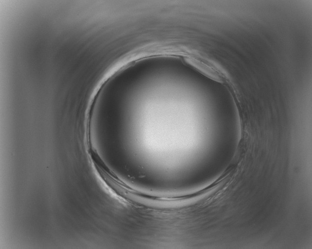 X0000068261528200604241218