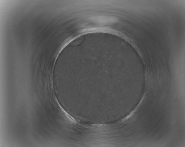 X0000068261529200604241218