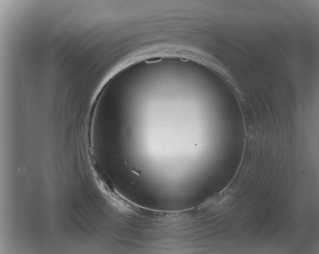 X0000068261530200604241218