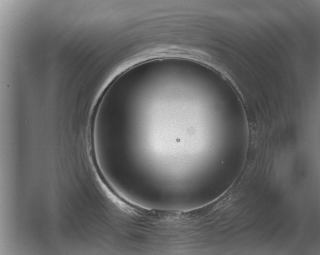 X0000068261531200604241218