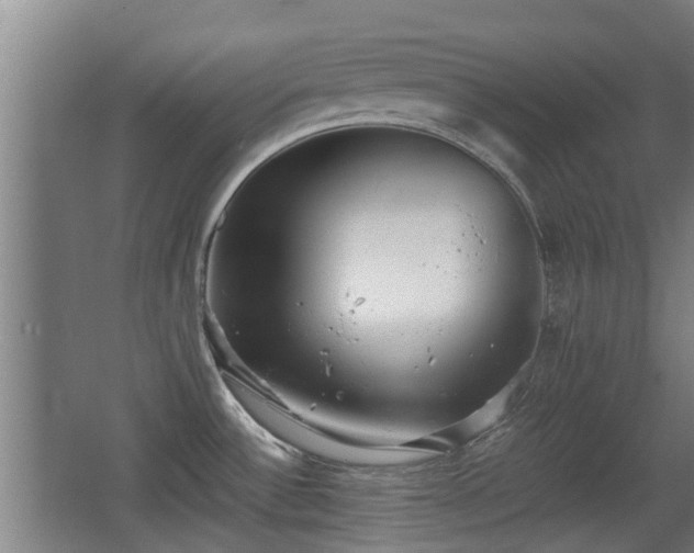 X0000068261532200604241218