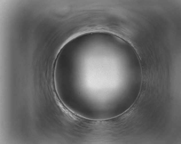 X0000068261534200604241218