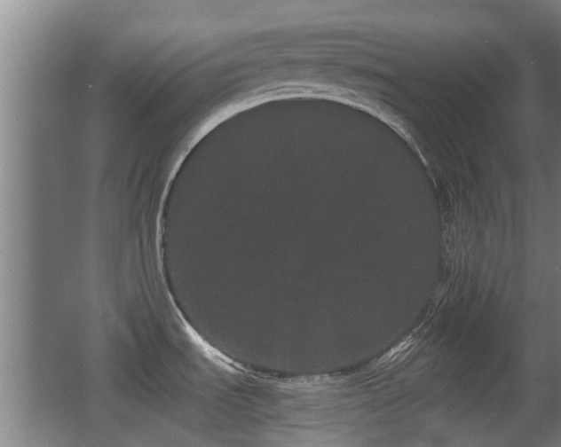 X0000068261535200604241218