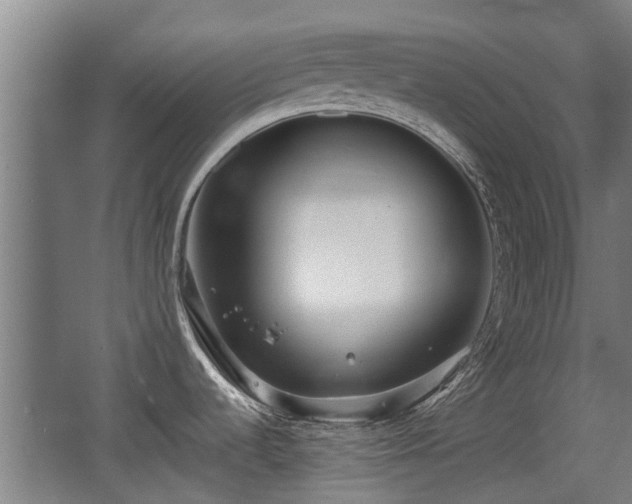 X0000068261536200604241218