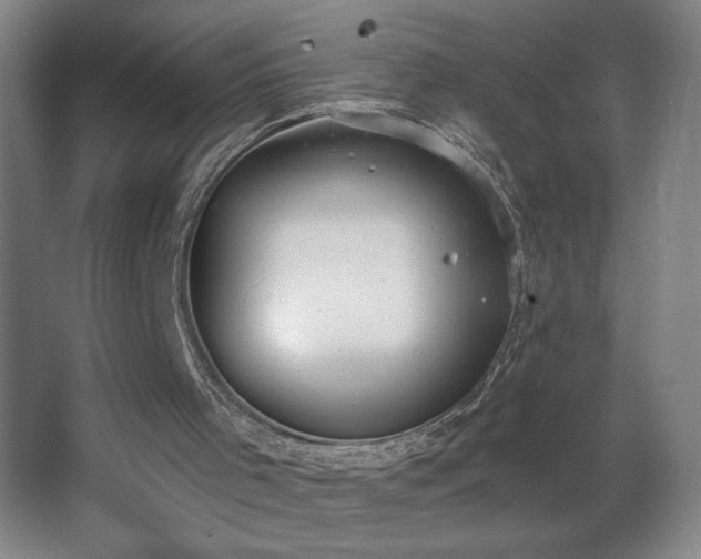 X0000068260001200604281538