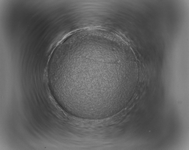 X0000068260002200604281538