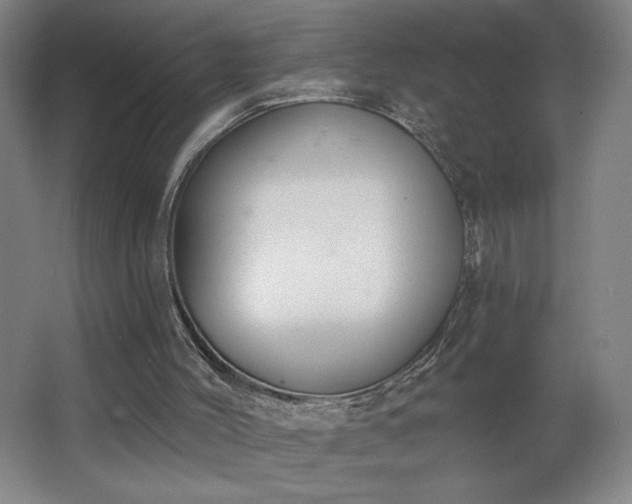 X0000068260004200604281538