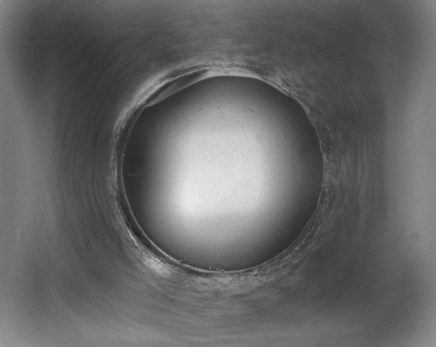 X0000068260005200604281537