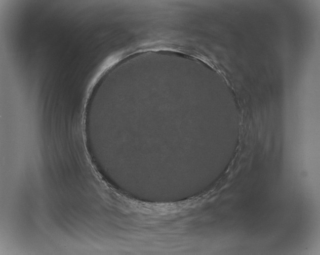 X0000068260006200604281537