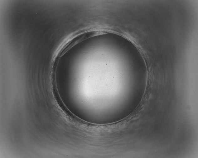 X0000068260007200604281537