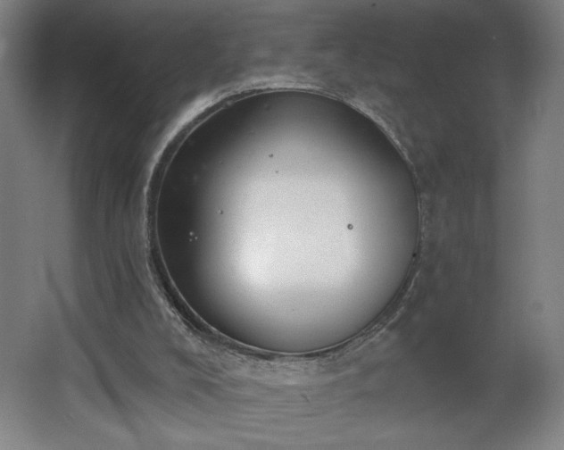 X0000068260008200604281537