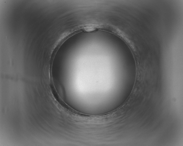 X0000068260011200604281537