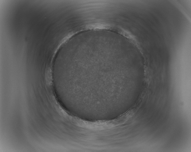 X0000068260012200604281537