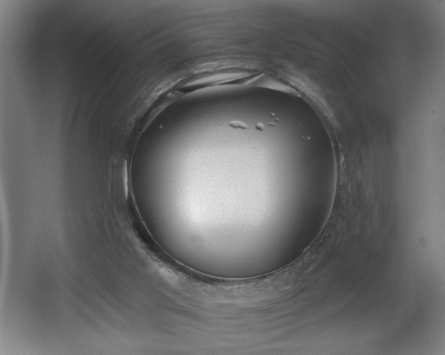 X0000068260013200604281537