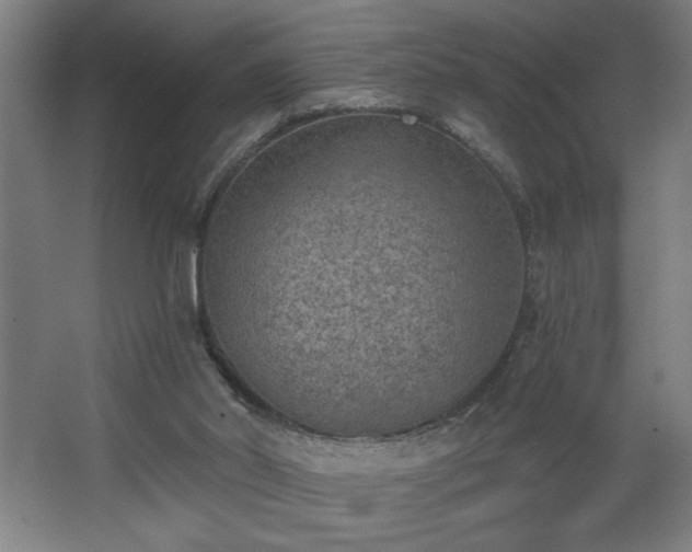 X0000068260014200604281537