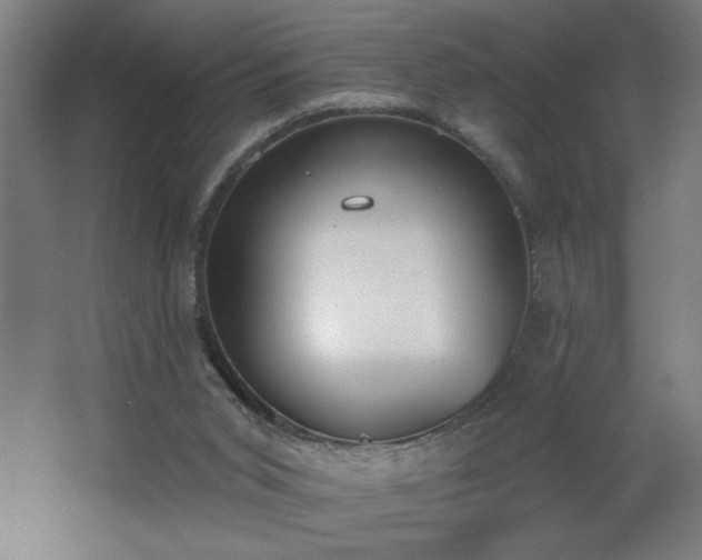 X0000068260015200604281537