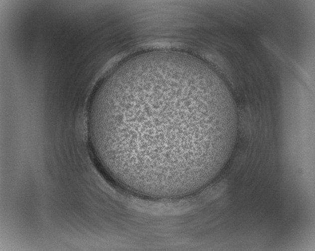 X0000068260016200604281537