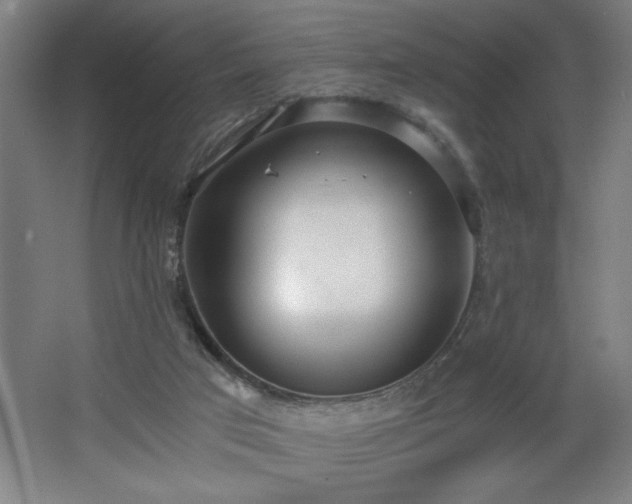 X0000068260017200604281537