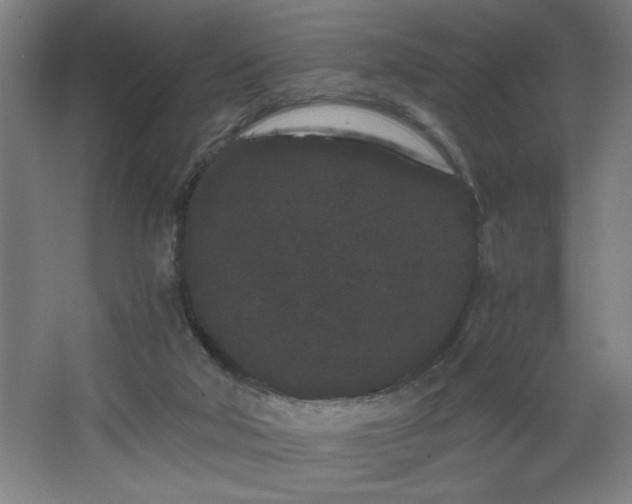 X0000068260018200604281537