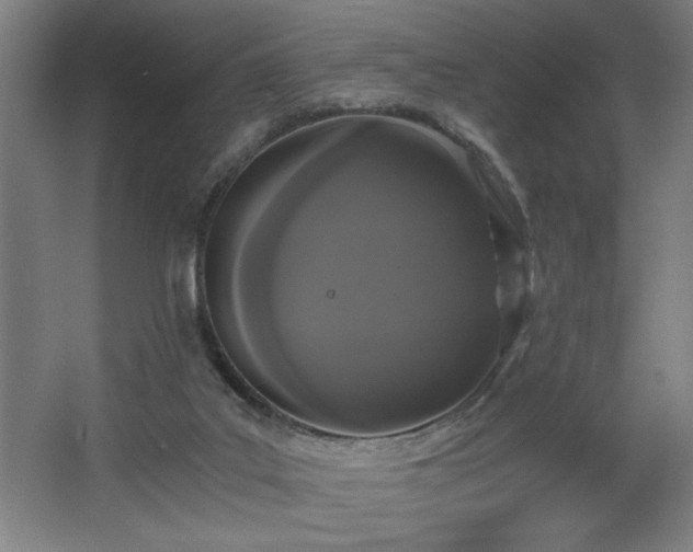 X0000068260019200604281537