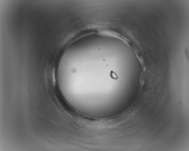 X0000068260020200604281537