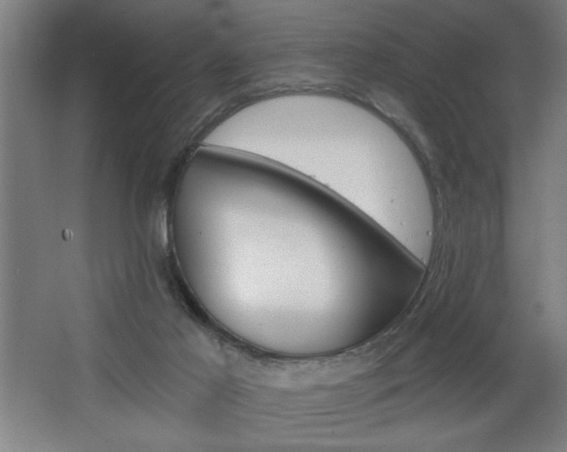 X0000068260021200604281537