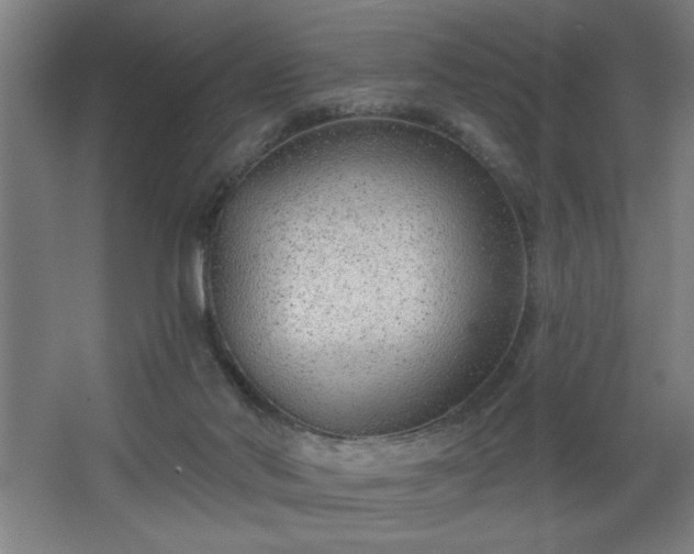 X0000068260022200604281537