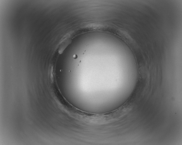 X0000068260024200604281537