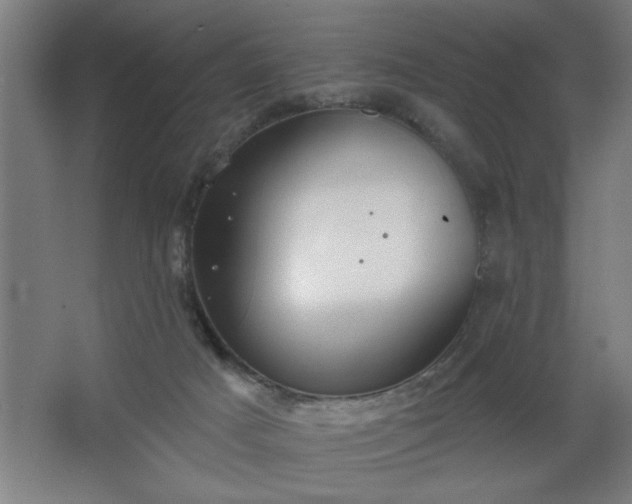 X0000068260025200604281537