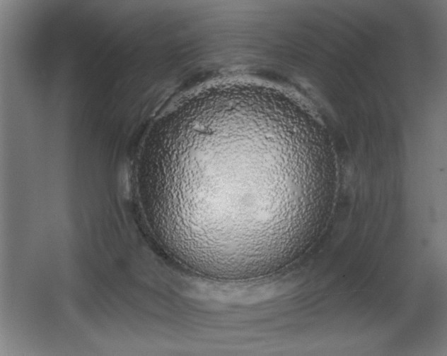 X0000068260026200604281537