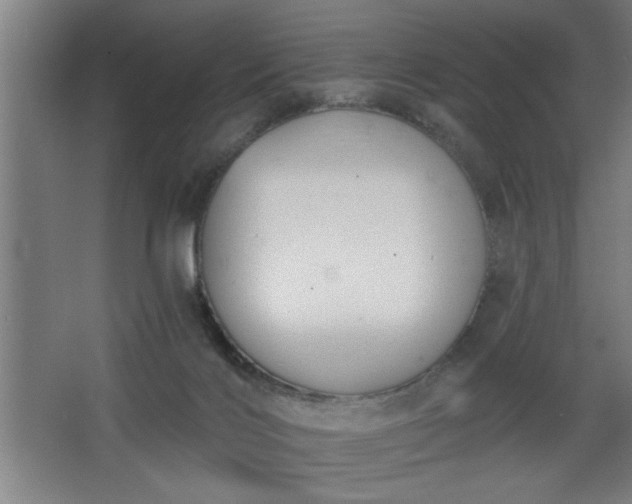 X0000068260028200604281537