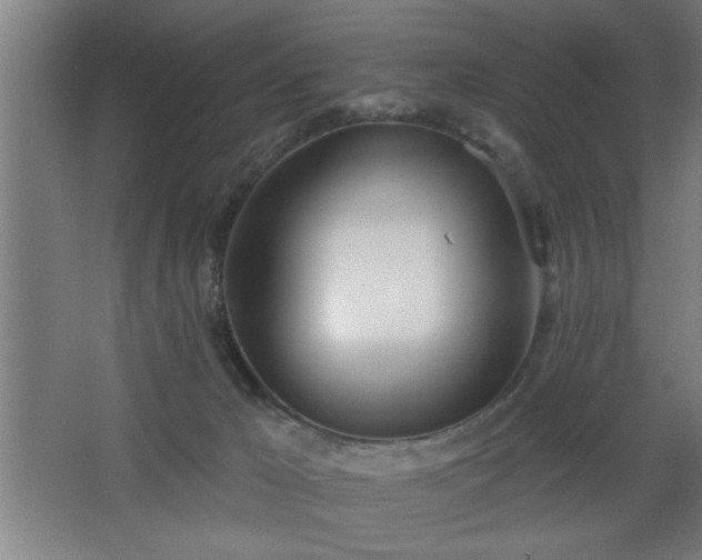 X0000068260029200604281537