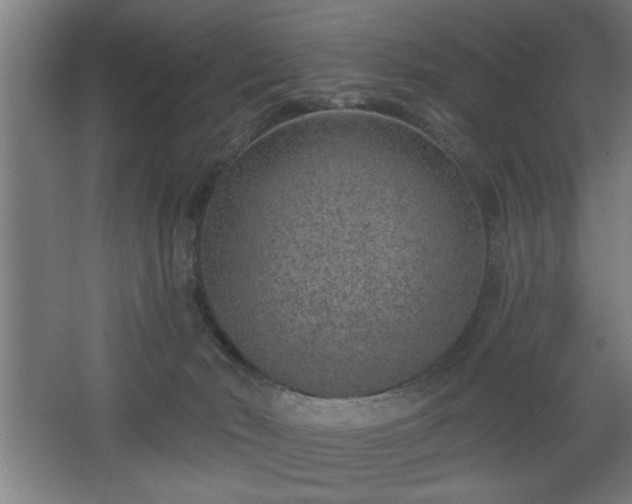 X0000068260030200604281537