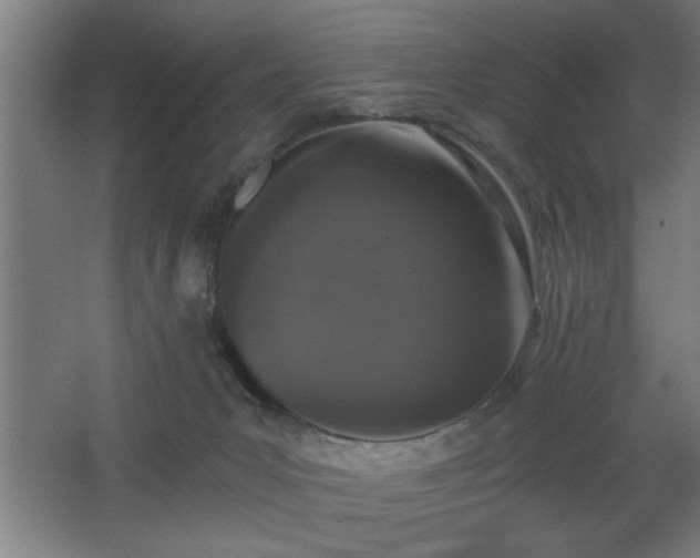 X0000068260031200604281537