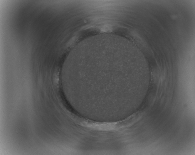 X0000068260032200604281537