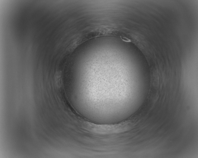 X0000068260034200604281537