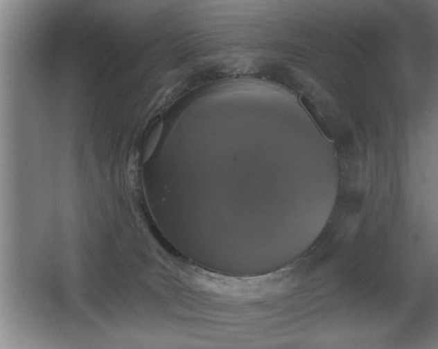 X0000068260035200604281537