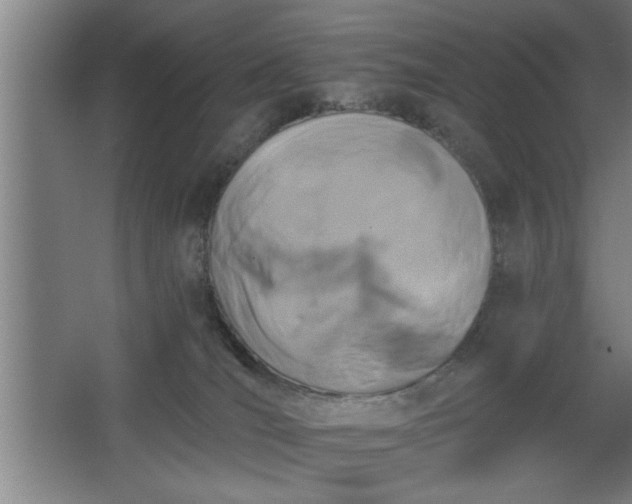 X0000068260036200604281537