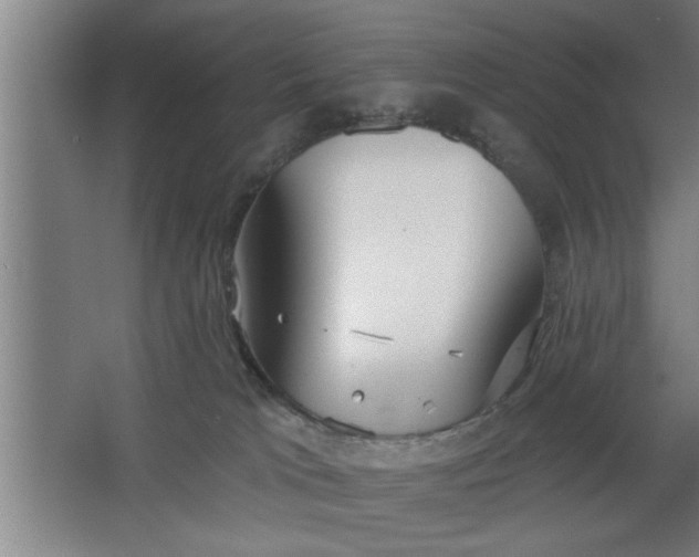 X0000068260037200604281537