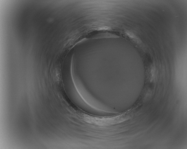 X0000068260039200604281537